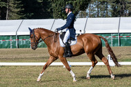 Kronenberg - De Peelbergen (August 2020)