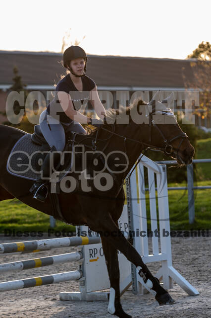 IGV Lehrgang der Sieger der Cups mit Frank Ostholt