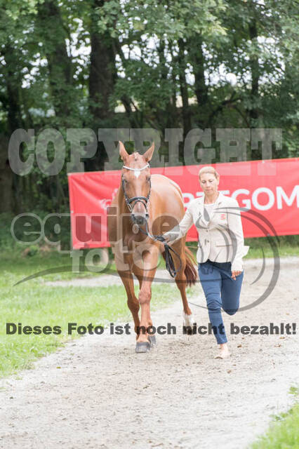 FEI European Championship Eventing 2017