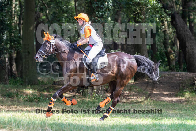 Late-Entry Vielseitigkeit Hamminkeln/Wesel (01.+02.08.2020)