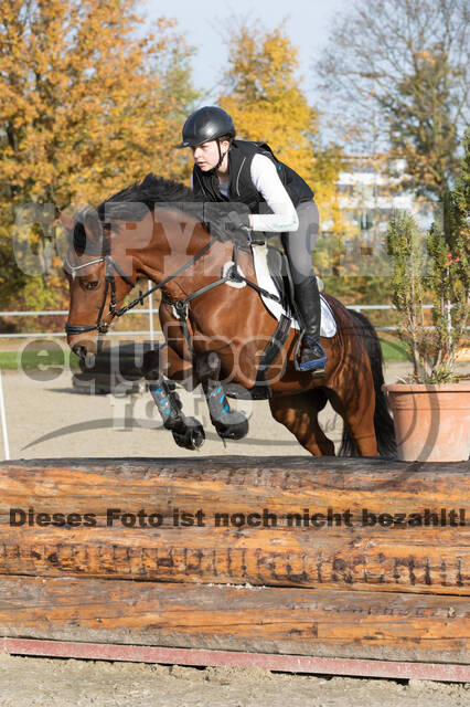 IGV Lehrgang der Sieger der Cups mit Frank Ostholt