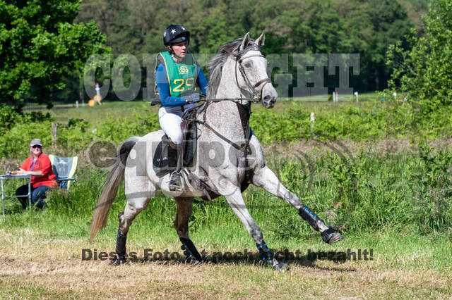 Westerstede Horse Trials (10.-13.06.2021)