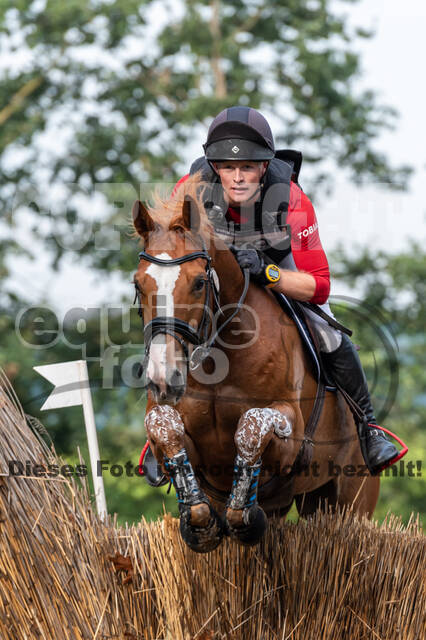 De Peelbergen (August 2020)