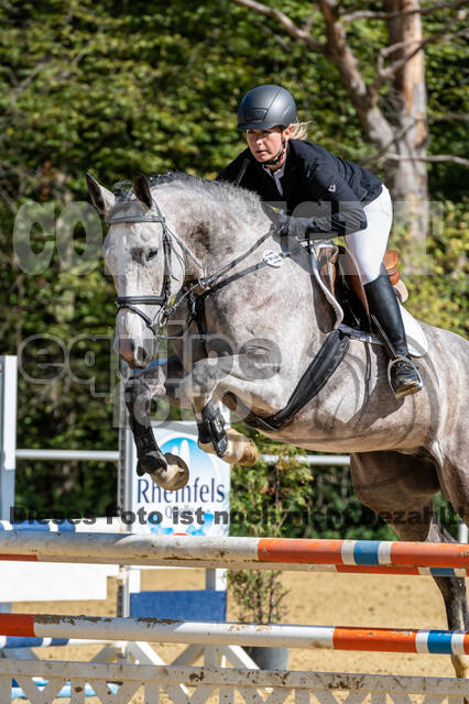 RFV Dinslaken-Hiesfeld (Herbstturnier)