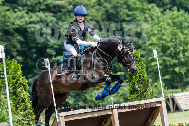 Goldene Schärpe 2021 - Ponys