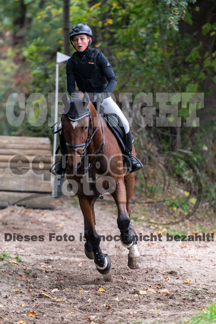 Goldene Schärpe 2020 - Pferde