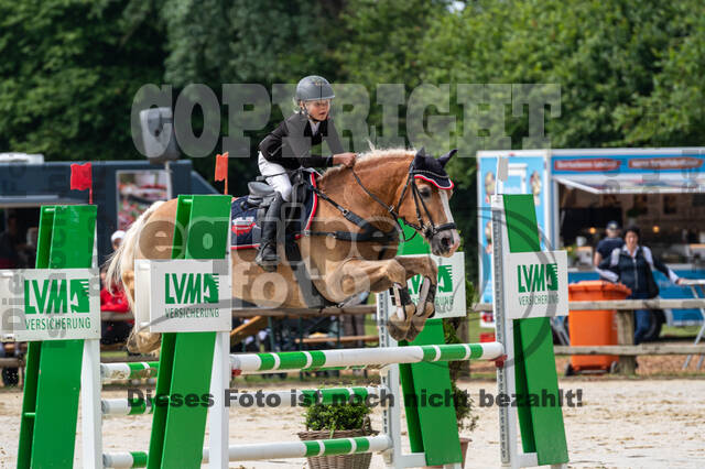 Goldene Schärpe 2021 - Ponys