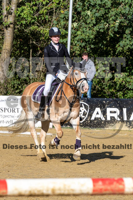 RFV Dinslaken-Hiesfeld (Herbstturnier)