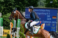 Goldene Schärpe 2021 - Ponys
