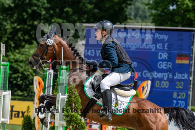 Goldene Schärpe 2021 - Ponys