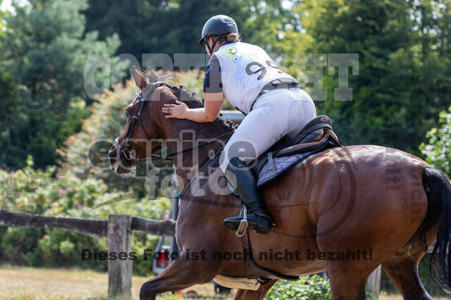 Late-Entry Vielseitigkeit Hamminkeln/Wesel (01.+02.08.2020)