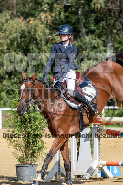 RFV Dinslaken-Hiesfeld (Herbstturnier)