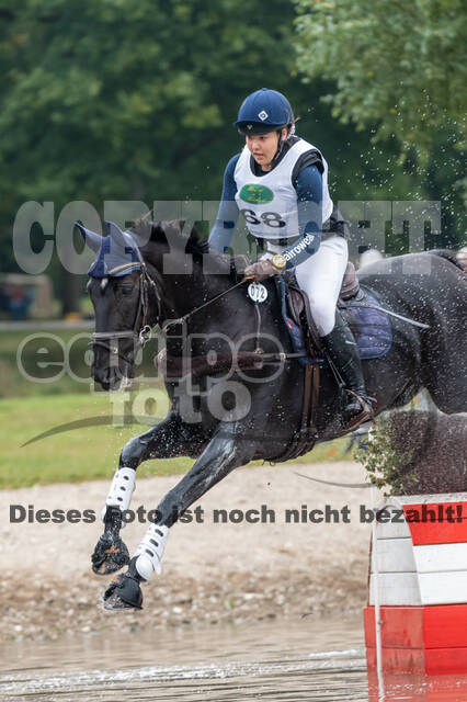 Deutsche Meisterschaft Vielseitigkeit (Luhmühlen)