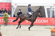FEI European Championship