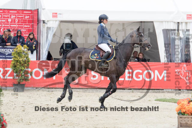 FEI European Championship