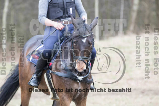 Geländetrainings RSV St. Hubertus Wesel Obrighoven