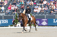 FEI European Championship Eventing 2019