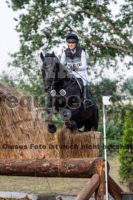 De Peelbergen (August 2020)