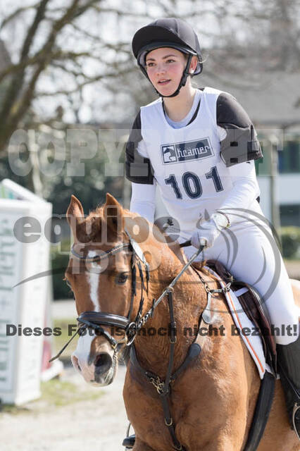 Eventing Langenfeld 2018