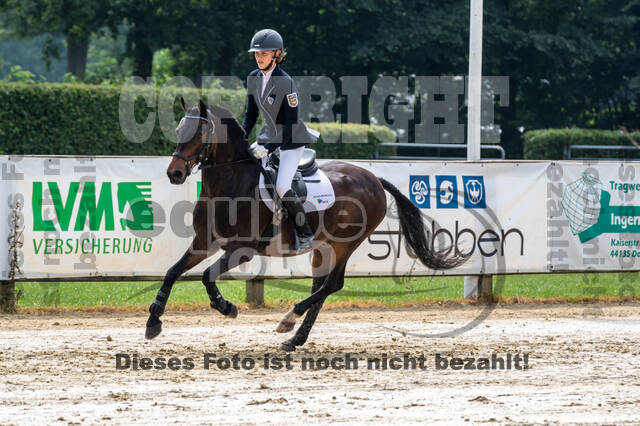 Goldene Schärpe 2021 - Ponys