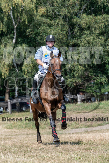 Late-Entry Vielseitigkeit Hamminkeln/Wesel (01.+02.08.2020)