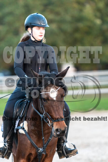 IGV Lehrgang der Sieger der Cups mit Frank Ostholt