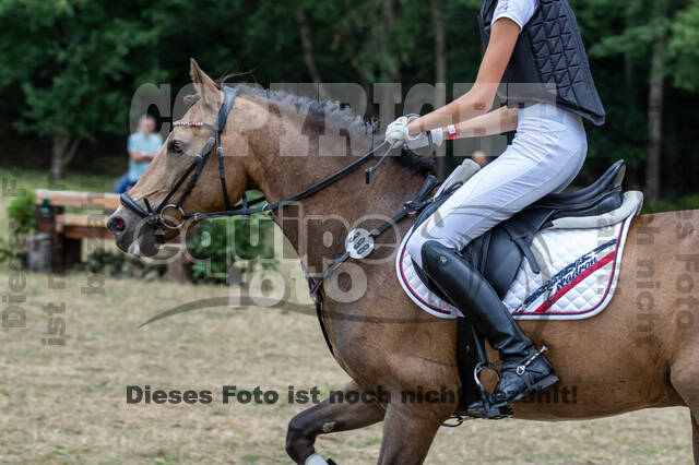 Late-Entry Vielseitigkeit Hamminkeln/Wesel (01.+02.08.2020)