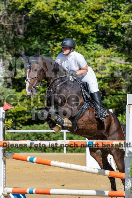 RFV Dinslaken-Hiesfeld (Herbstturnier)