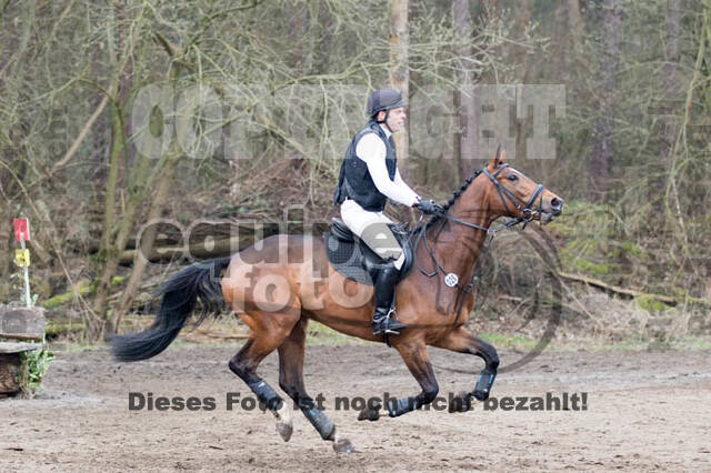 Jungpferdetag Hamminkeln