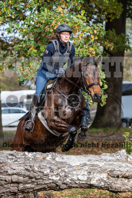 IGV Lehrgang der Sieger der Cups mit Frank Ostholt
