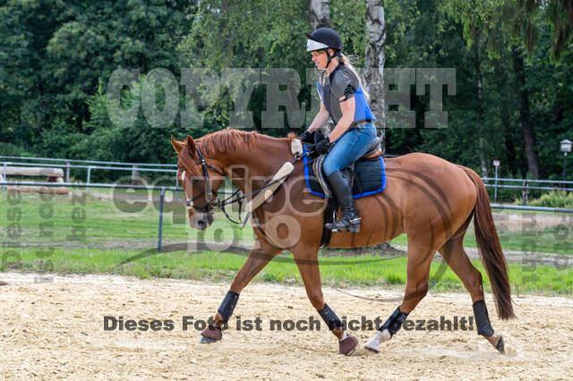 Hunter Geländetraining 10.07.2021 (Sonsbeck)