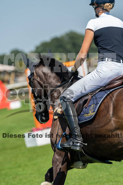 Kronenberg - De Peelbergen (August 2020)