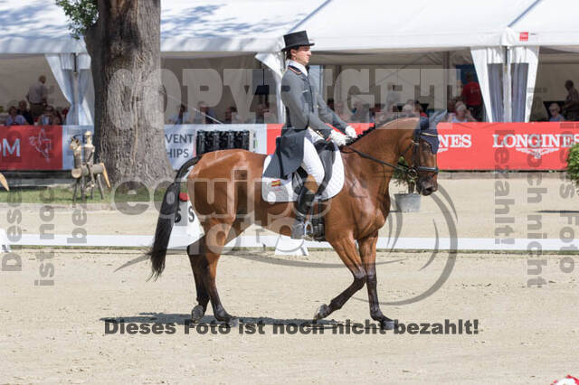 FEI European Championship Eventing 2017
