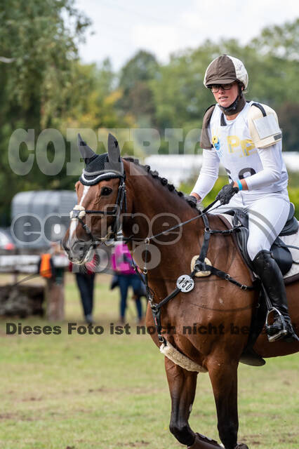 Vielseitigkeit RSV Wesel Obrighoven (26.+27.09.2020)