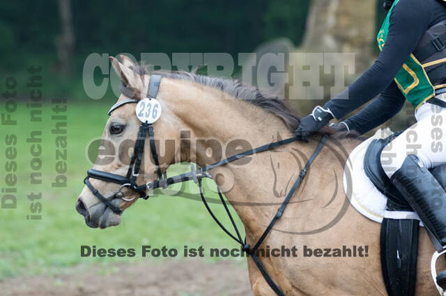 Vielseitigkeitsturnier ZRFV von Lützow Hamminkeln