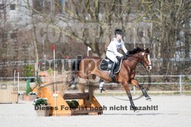 Eventing Langenfeld 2018