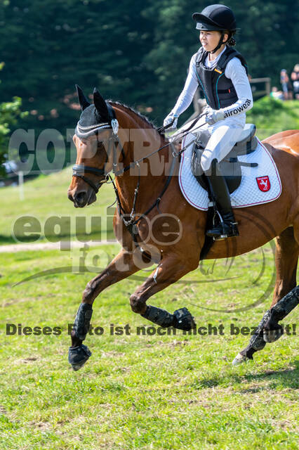 Goldene Schärpe 2021 - Ponys