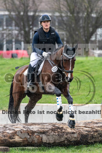 Goldene Schärpe 2020 - Pferde