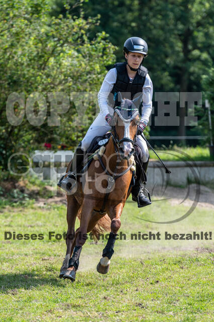 Goldene Schärpe 2021 - Ponys