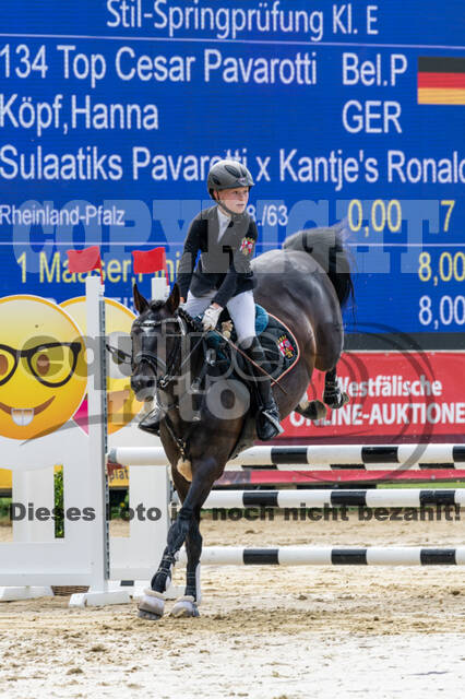 Goldene Schärpe 2021 - Ponys