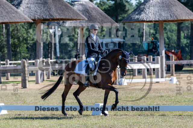 Kronenberg - De Peelbergen (August 2020)