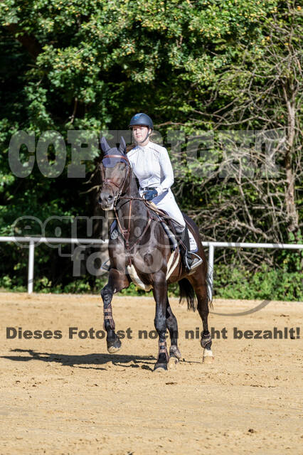 RFV Dinslaken-Hiesfeld (Herbstturnier)
