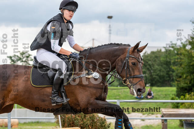 Late-Entry-Vielseitigkeit Langenfeld (06.+07.07.2020)