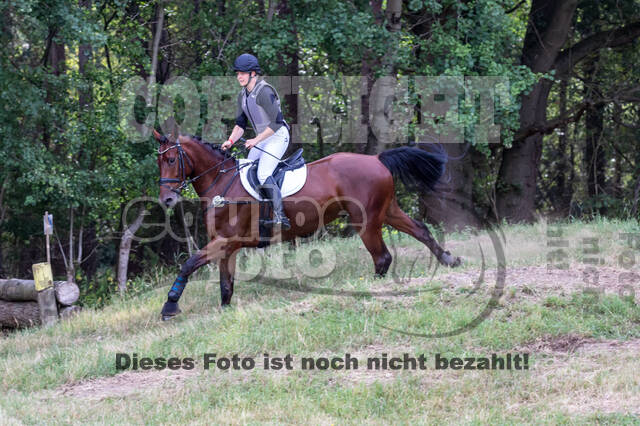 Late-Entry Vielseitigkeit Hamminkeln/Wesel (01.+02.08.2020)
