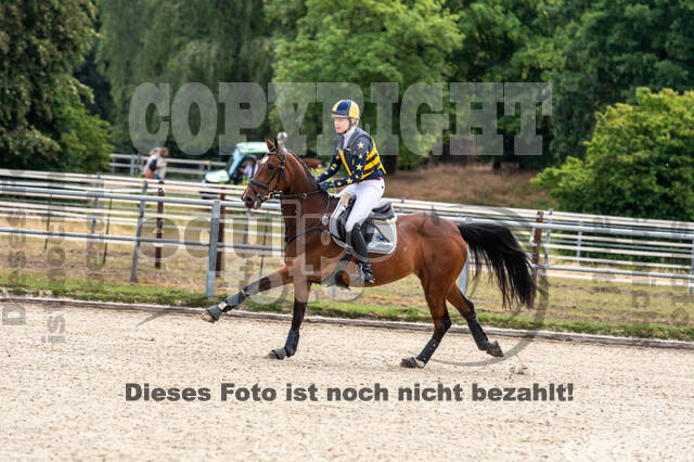 Late-Entry-Vielseitigkeit Langenfeld (11.+13./14.06.2020)
