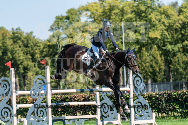 Kronenberg - De Peelbergen (August 2020)