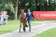 FEI European Championship Eventing 2017