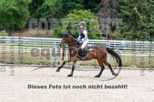 Late-Entry-Vielseitigkeit Langenfeld (11.+13./14.06.2020)