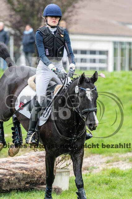 Goldene Schärpe 2020 - Pferde