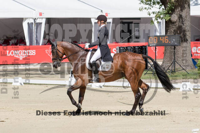 FEI European Championship Eventing 2017